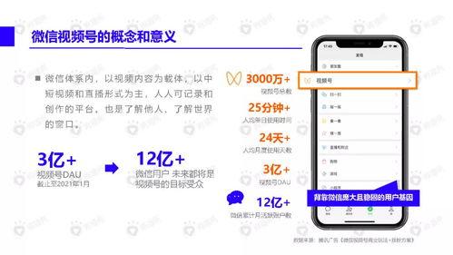 河津美食爆料视频最新下载,最新爆料视频带你领略地道风味  第3张